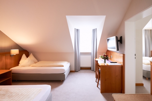 Hotel Alter Wirt